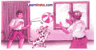Chitra Varnan in Sanskrit Class 8 with Answers 11