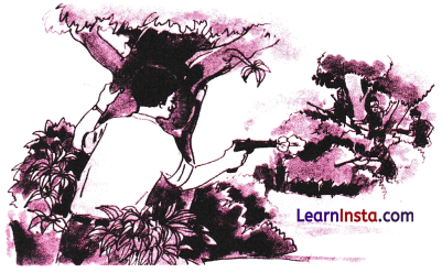 Chitra Varnan in Sanskrit Class 8 with Answers 14