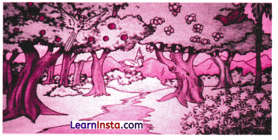 Chitra Varnan in Sanskrit Class 8 with Answers 4