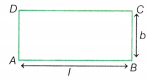 Measuring Space Perimeter and Area Class 9 Notes Maths Chapter 6 19