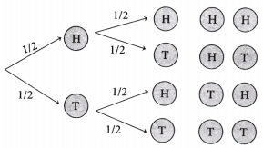 The Mathematics of Maybe Introduction to Probability Class 9 Notes Maths Chapter 7 4