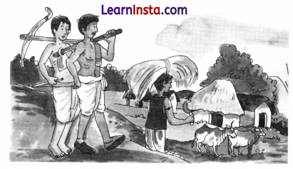 Chitra Varnan in Sanskrit Class 7 with Answers 3