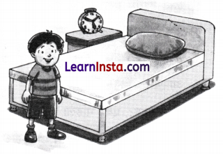 Chitra Varnan in Sanskrit Class 7 with Answers 4