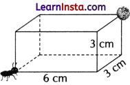Exploring Some Geometric Themes Class 8 Worksheet with Answers Maths Chapter 4 - 10