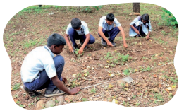 Kaushal Bodh Class 6 Chapter 1 Solutions Project 1 School Kitchen Garden 1