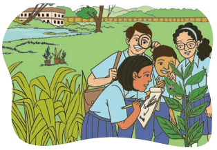Kaushal Bodh Class 6 Chapter 2 Solutions Project 2 Biodiversity Register 1