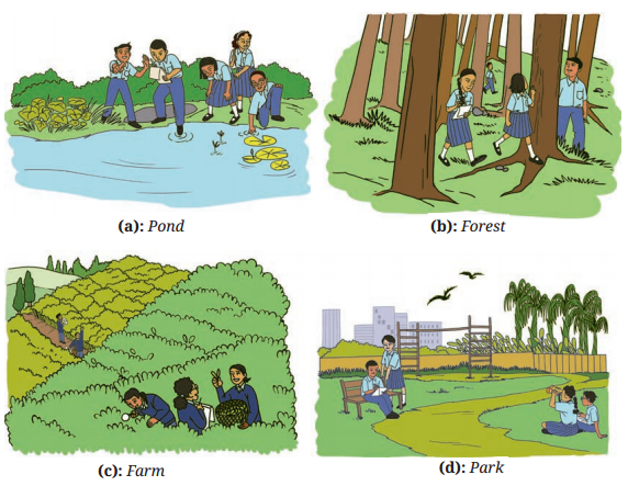 Kaushal Bodh Class 6 Chapter 2 Solutions Project 2 Biodiversity Register 2