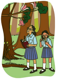 Kaushal Bodh Class 6 Chapter 2 Solutions Project 2 Biodiversity Register 3