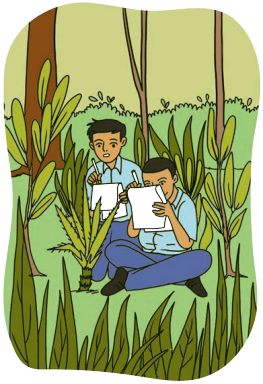 Kaushal Bodh Class 6 Chapter 2 Solutions Project 2 Biodiversity Register 4