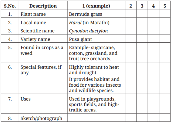 Kaushal Bodh Class 6 Chapter 2 Solutions Project 2 Biodiversity Register 8