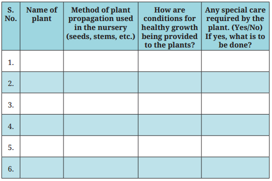 Kaushal Bodh Class 7 Solutions Project 1 Chapter 1 Plant Nursery 1