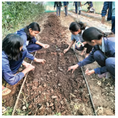 Kaushal Bodh Class 7 Solutions Project 1 Chapter 1 Plant Nursery 10