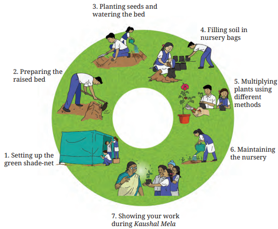 Kaushal Bodh Class 7 Solutions Project 1 Chapter 1 Plant Nursery 2