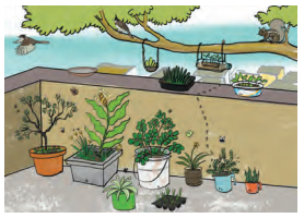 Kaushal Bodh Class 7 Solutions Project 1 Chapter 1 Plant Nursery 4