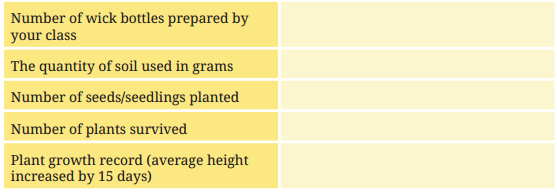 Kaushal Bodh Class 8 Chapter 1 Solutions Project 1 Hydroponics Growing Plants without Soil 13