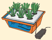 Kaushal Bodh Class 8 Chapter 1 Solutions Project 1 Hydroponics Growing Plants without Soil 18