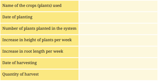 Kaushal Bodh Class 8 Chapter 1 Solutions Project 1 Hydroponics Growing Plants without Soil 20