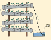 Kaushal Bodh Class 8 Chapter 1 Solutions Project 1 Hydroponics Growing Plants without Soil 25