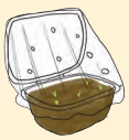 Kaushal Bodh Class 8 Chapter 1 Solutions Project 1 Hydroponics Growing Plants without Soil 5