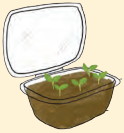 Kaushal Bodh Class 8 Chapter 1 Solutions Project 1 Hydroponics Growing Plants without Soil 6