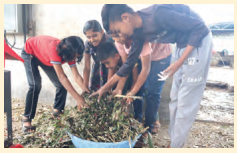 Kaushal Bodh Class 8 Chapter 2 Solutions Project 2 Feeding and Caring for Farm Animals 12
