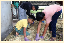 Kaushal Bodh Class 8 Chapter 2 Solutions Project 2 Feeding and Caring for Farm Animals 15
