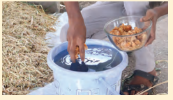 Kaushal Bodh Class 8 Chapter 2 Solutions Project 2 Feeding and Caring for Farm Animals 16