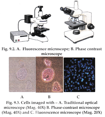 Microscope and Microscopy Class 9 Notes Advanced Science Chapter 9 3