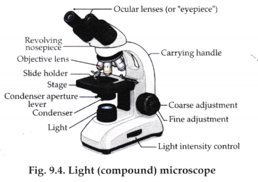 Microscope and Microscopy Class 9 Notes Advanced Science Chapter 9 4