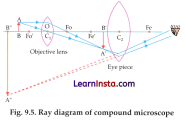 Microscope and Microscopy Class 9 Notes Advanced Science Chapter 9 5