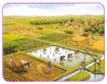 State and Society up to 1000 CE Class 9 Notes SST Chapter 5 21