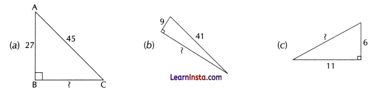 The Baudhayana Pythagoras Theorem Class 8 Worksheet with Answers Maths Chapter 2 - 3