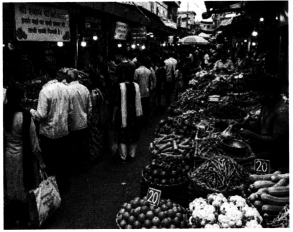 The Price Puzzle What Drives the Market Class 9 Extra Questions and Answers SST Chapter 9 1