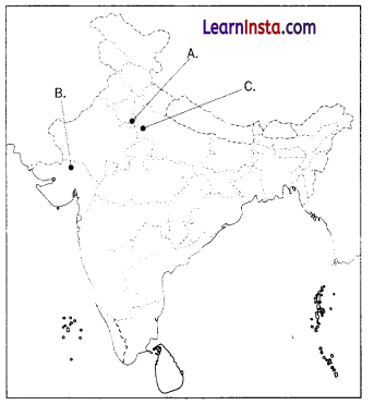 A Journey Through Indian Architecture Class 8 Extra Questions and Answers SST Part 2 Chapter 3 5