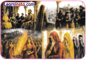 Cultural Currents 13th to 17th Centuries Class 8 Notes SST Part 2 Chapter 8 8
