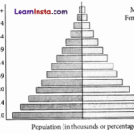 Dynamics of Population Class 8 MCQ SST Part 2 Chapter 6 1