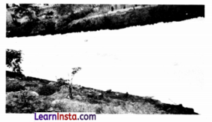 India’s Urban Landscape Class 8 MCQ SST Part 2 Chapter 7 1