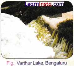 India’s Urban Landscape Class 8 Notes SST Part 2 Chapter 7 7