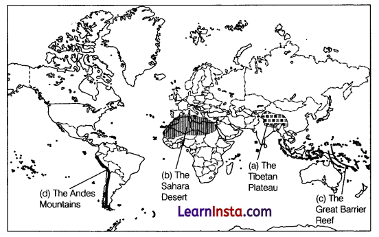 World Geography Some Glimpses Class 8 Extra Questions and Answers SST Part 2 Chapter 1 3