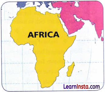 World Geography Some Glimpses Class 8 Notes SST Part 2 Chapter 1 11
