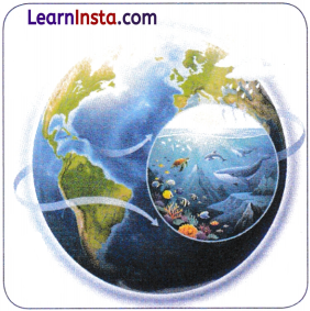 World Geography Some Glimpses Class 8 Notes SST Part 2 Chapter 1 3