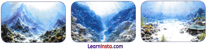 World Geography Some Glimpses Class 8 Notes SST Part 2 Chapter 1 4