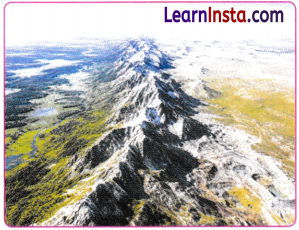 World Geography Some Glimpses Class 8 Notes SST Part 2 Chapter 1 9